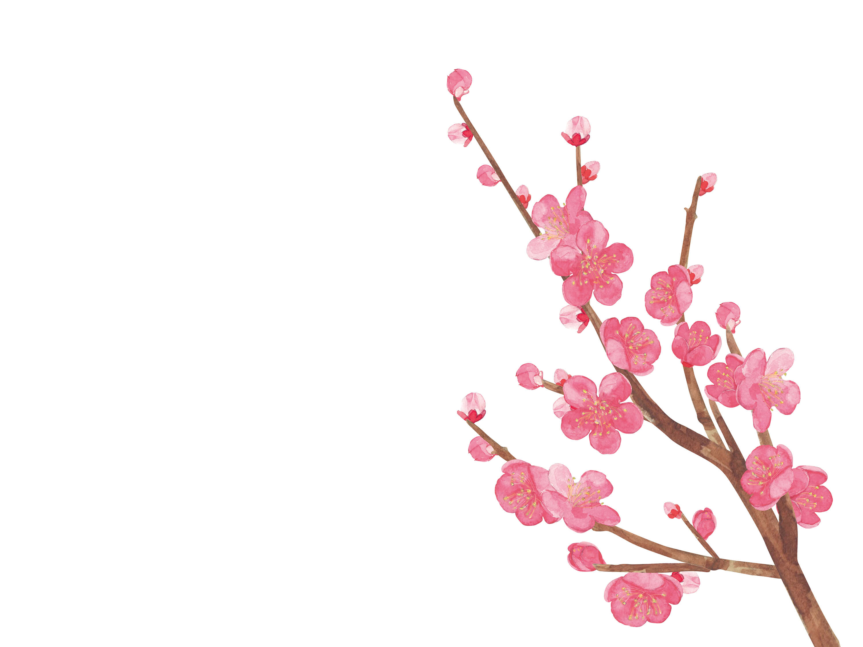 關(guān)于“*ST輔仁”的風(fēng)險(xiǎn)提示